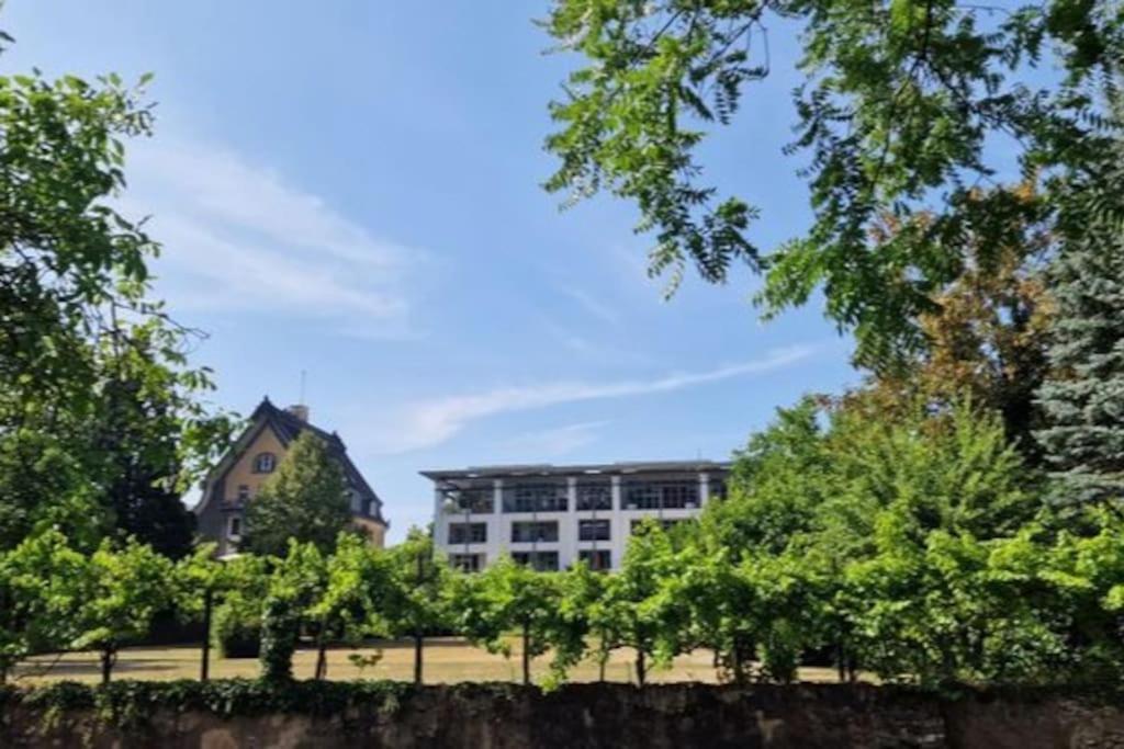 Wohnwerk: Penthouse - Moselblick Appartement Verbandsgemeinde Verbandsgemeinde Traben-Trarbach Buitenkant foto
