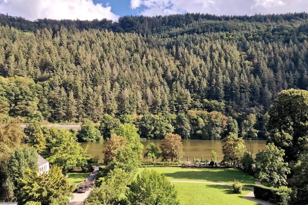 Wohnwerk: Penthouse - Moselblick Appartement Verbandsgemeinde Verbandsgemeinde Traben-Trarbach Buitenkant foto